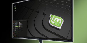 Ein Monitor mit Linux Mint-Logo.