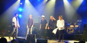 BAP live im Rampenlicht: fünf Musiker auf der Bühne versammelt. Blaues und weißes Bühnenlicht, das Publikum im Vordergrund ist teilweise zu sehen.